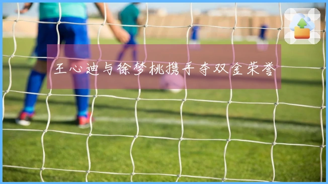 王心迪与徐梦桃携手夺双金荣誉